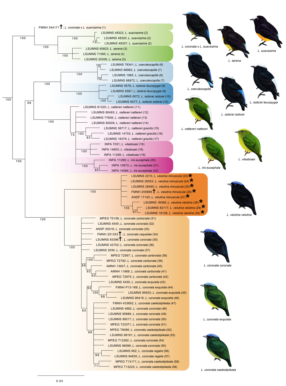 Diagram

Description automatically generated