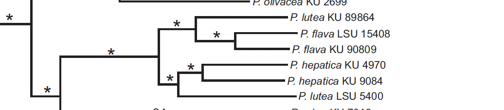 A picture containing diagram

Description automatically generated