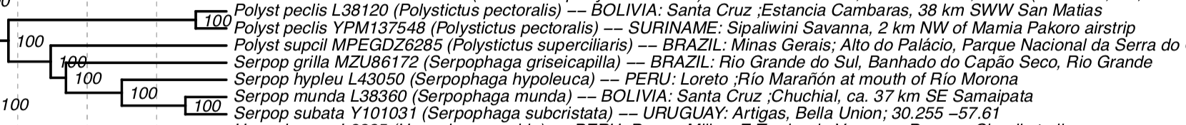 Pajarografo Sólido:Users:javierareta:Downloads:Harvey et al Serpophaga.png