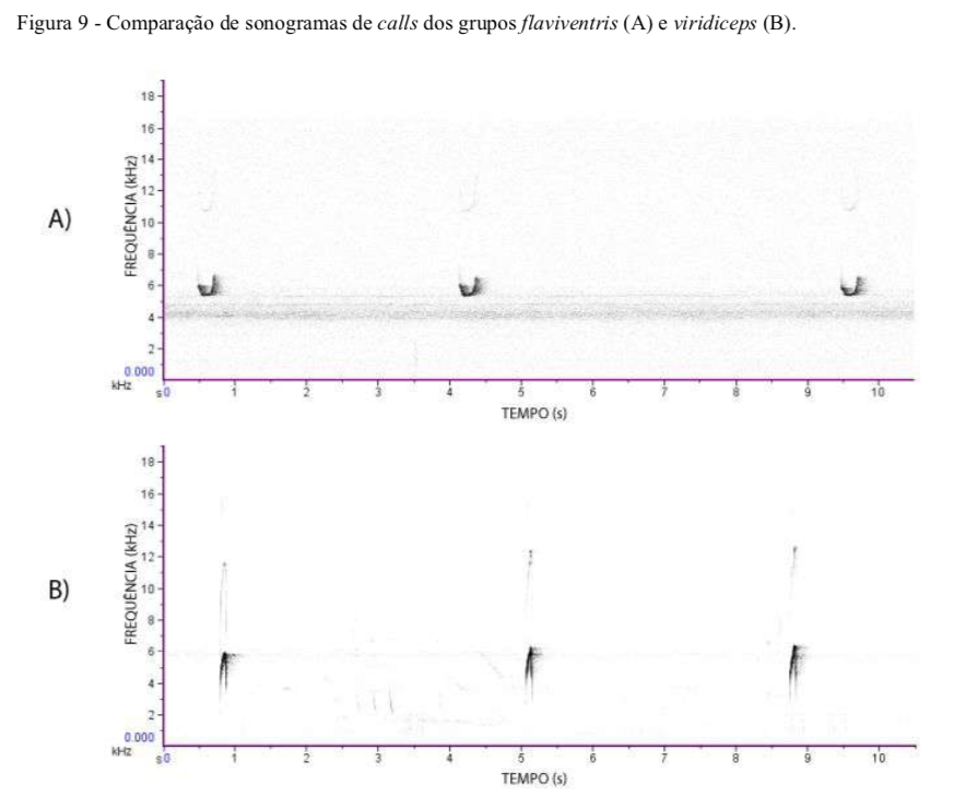 Pajarografo Sólido:Users:javierareta:Desktop:Screen Shot 2023-02-07 at 9.31.30 AM.png