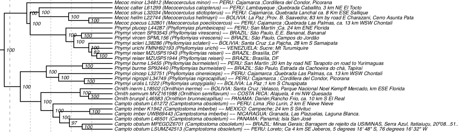 Pajarografo Sólido:Users:javierareta:Desktop:Harvey et al 2020 Phyllomyias burmeisteri.png