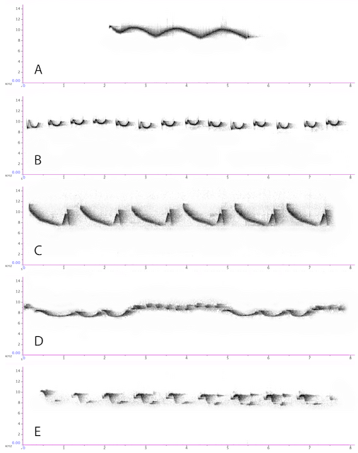 Figure 1. Comparison of Olive-striped Flycatcher vocal groups. ML251355071