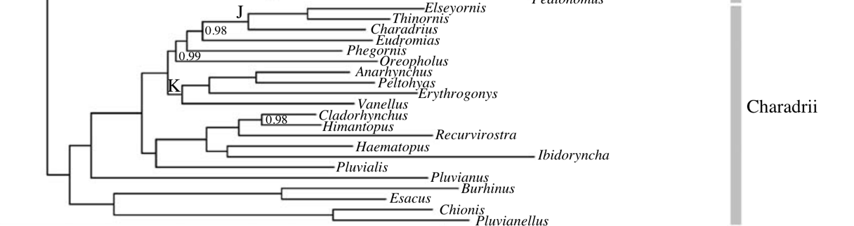 A diagram of a tree

Description automatically generated