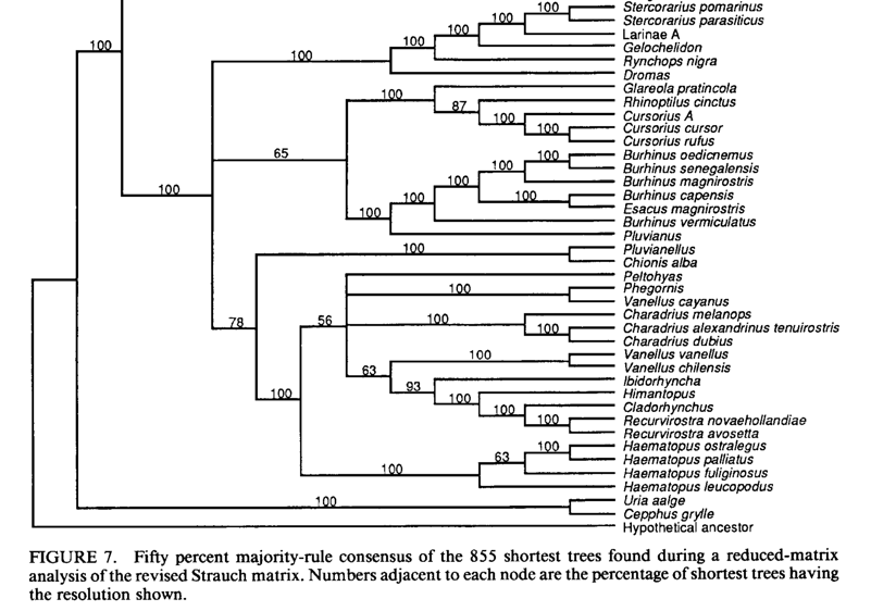 A graph of a tree

Description automatically generated