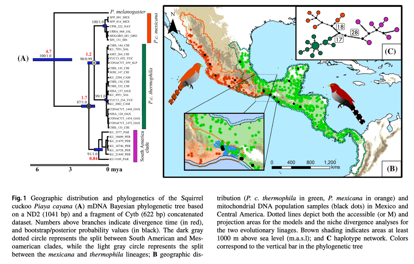 A map of the mexican peninsula

Description automatically generated with medium confidence