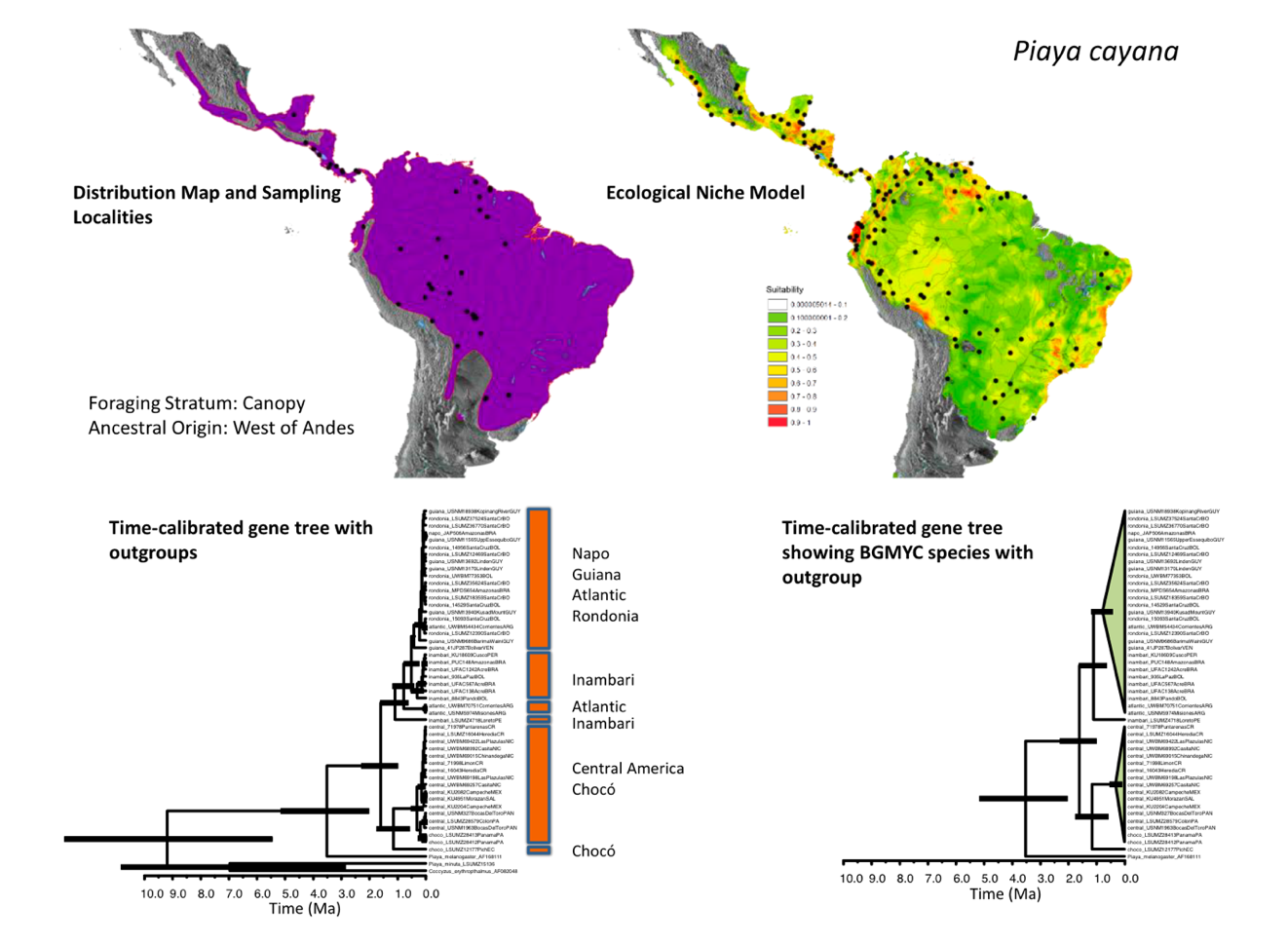 A map of the world with different colored spots

Description automatically generated