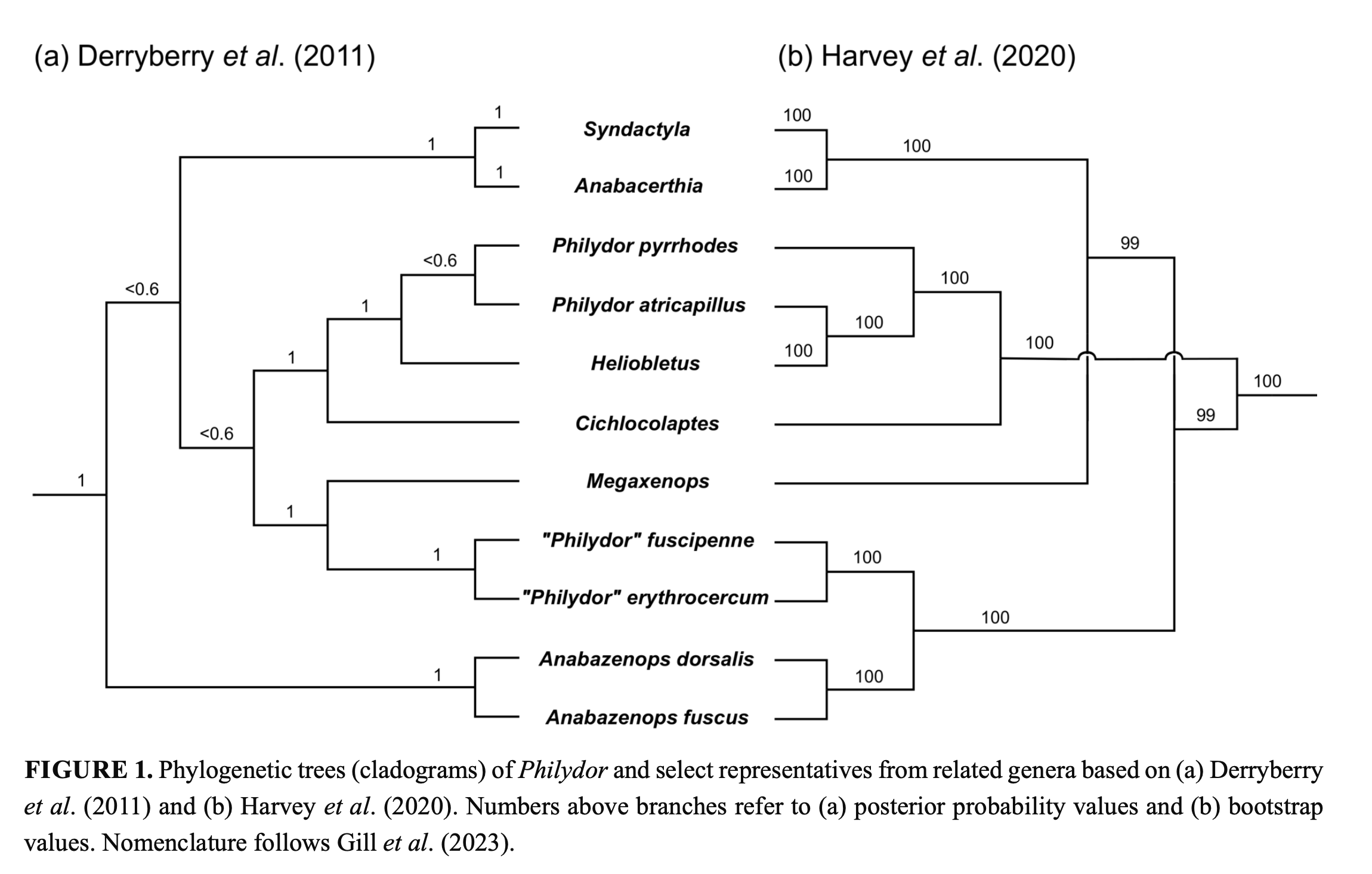 A diagram of a tree

Description automatically generated