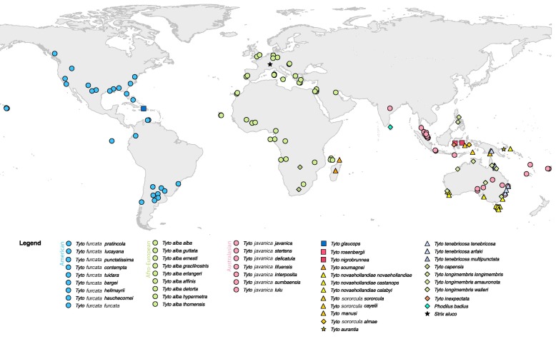 A map of the world with different colored dots

Description automatically generated